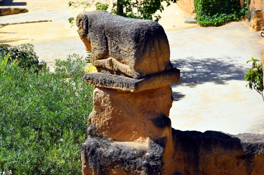 Foto: Coto de las Canteras - Osuna (Sevilla), España