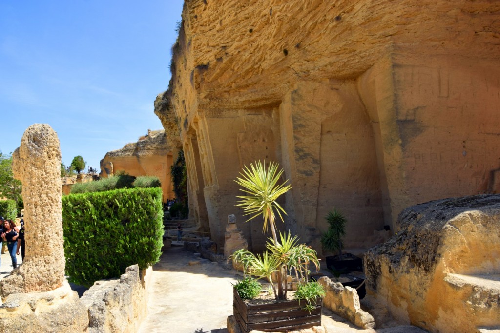 Foto: Coto las Canteras - Osuna (Sevilla), España