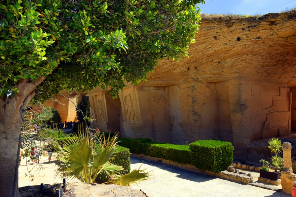 Foto: Coto de las Canteras - Osuna (Sevilla), España