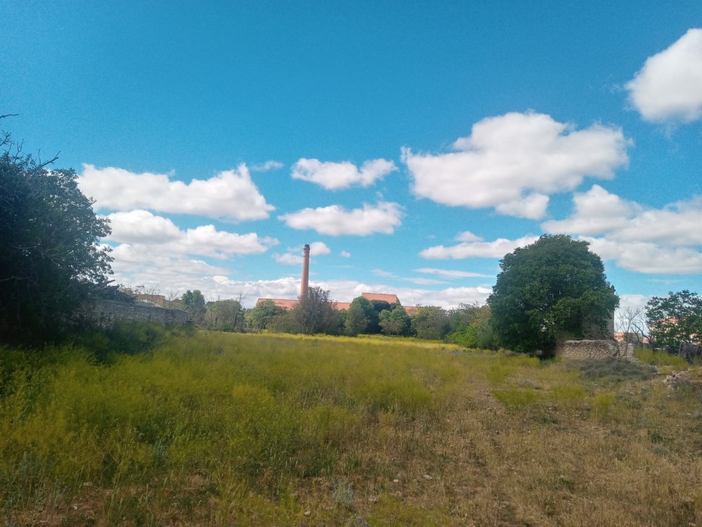 Foto: Antigua azucarera - Calatayud (Zaragoza), España