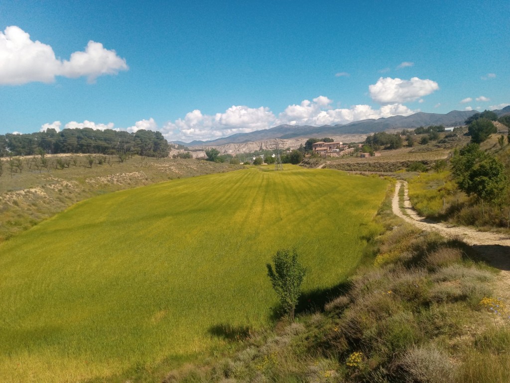 Foto: Valondillo - Calatayud (Zaragoza), España