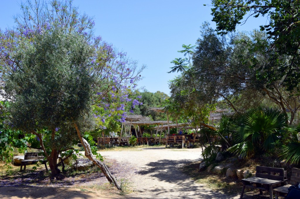 Foto: Rancho Cortesano - Cuartillos (Cádiz), España