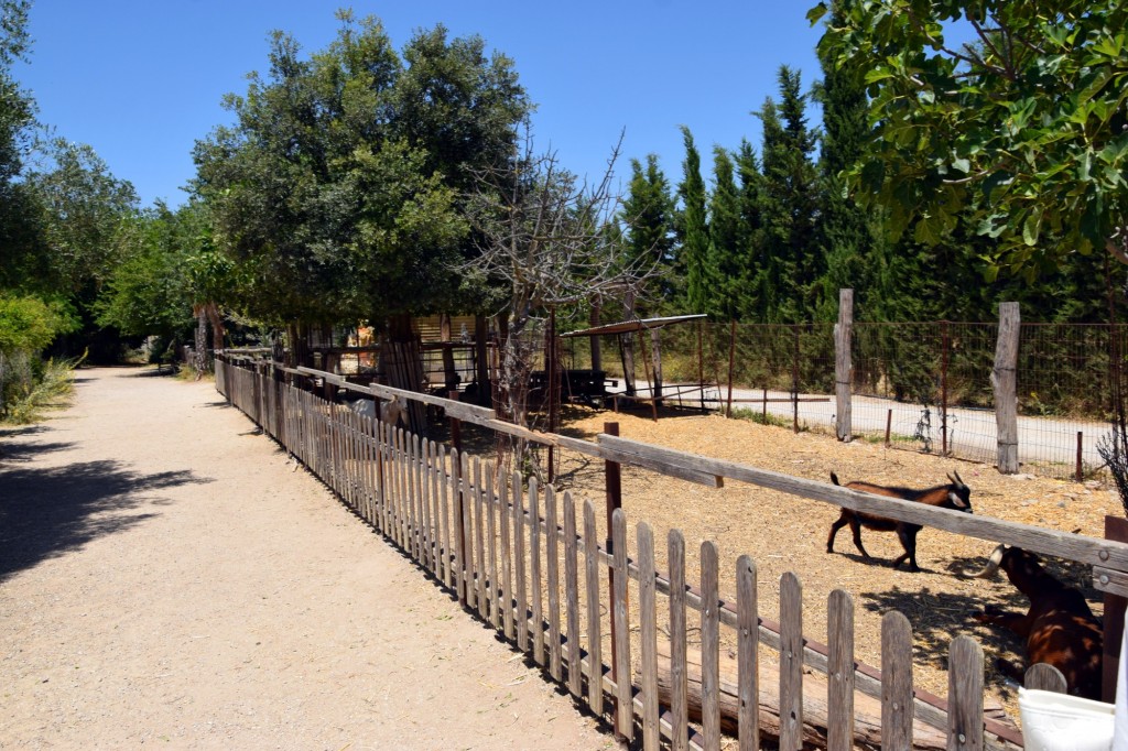 Foto: Rancho Cortesano - Cuartillos (Cádiz), España