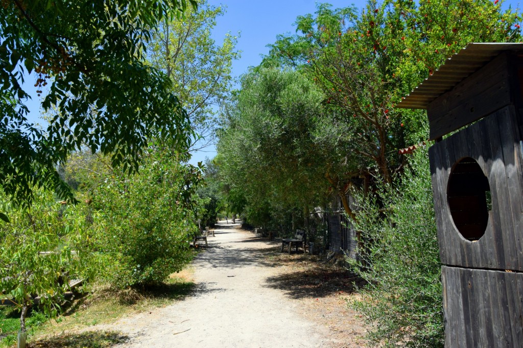 Foto: Rancho Cortesano - Cuartillos (Cádiz), España