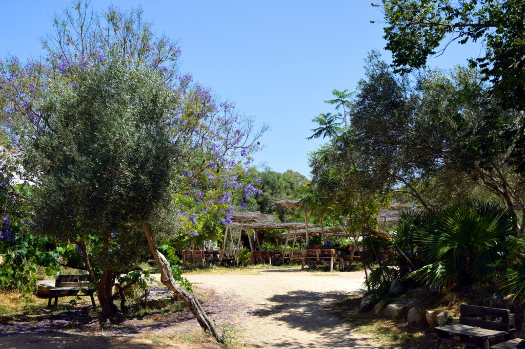 Foto: Rancho Cortesano - Cuartillos (Cádiz), España