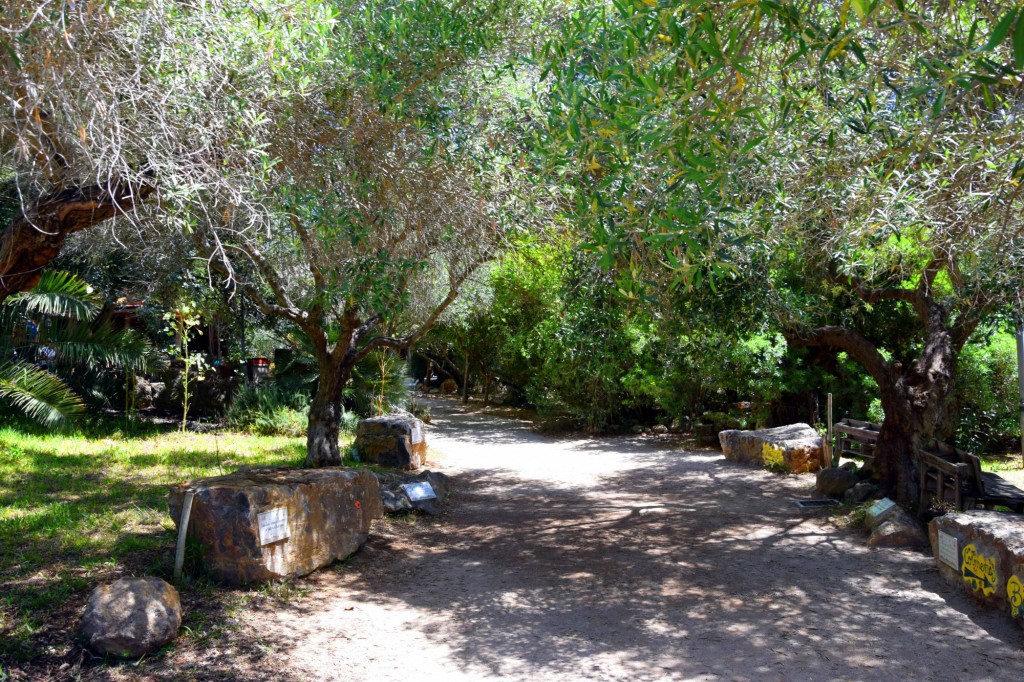 Foto: Rancho Cortesano - Cuartillos (Cádiz), España