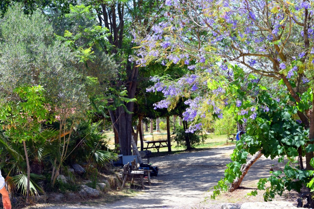 Foto: Rancho Cortesano - Cuartillos (Cádiz), España