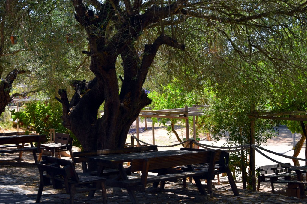 Foto: Rancho Cortesano - Cuartillos (Cádiz), España