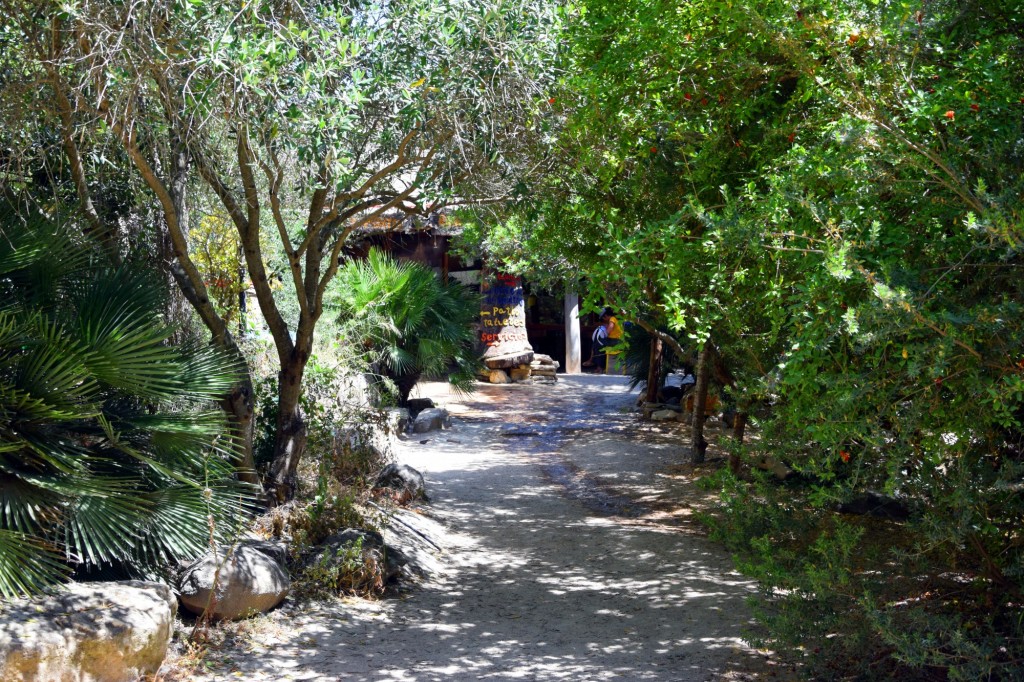 Foto: Rancho Cortesano - Cuartillos (Cádiz), España