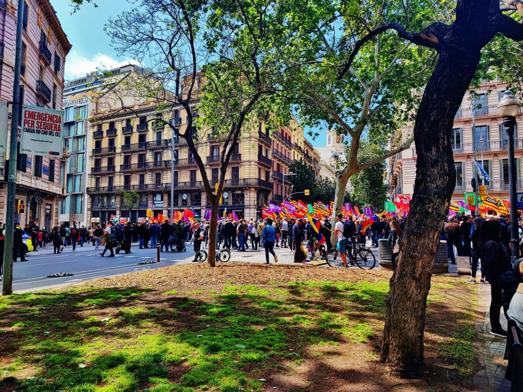 Foto: Manifestació - Barcelona (Cataluña), España