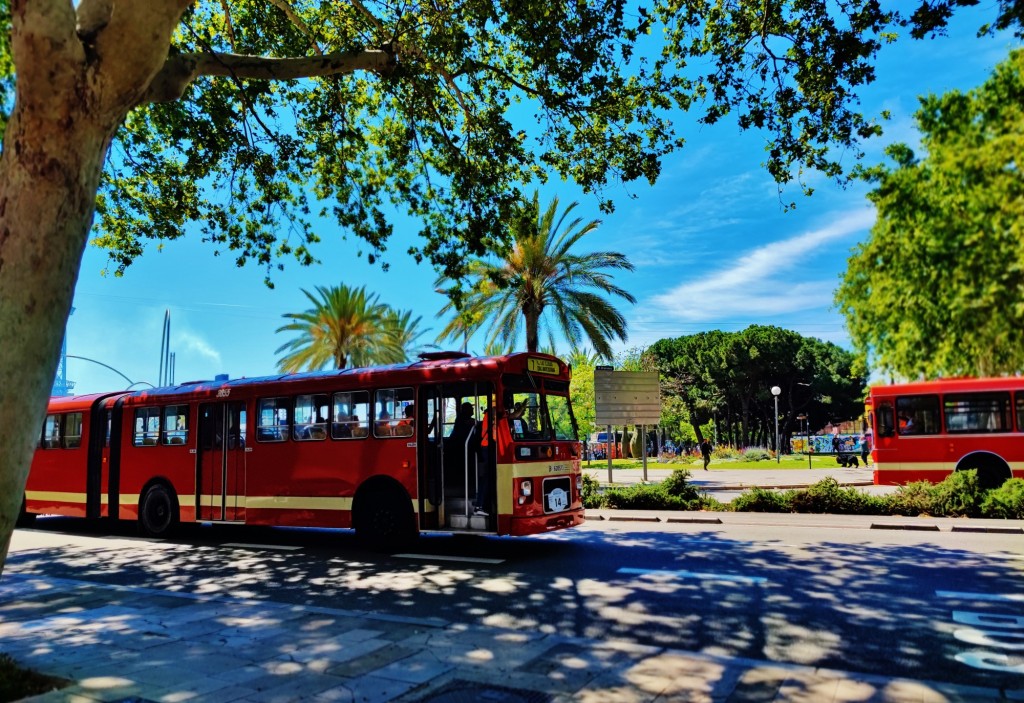 Foto: Exposició d’Autobusos Clàssics de Barcelona 2024 - Barcelona (Cataluña), España