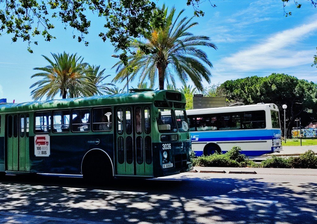 Foto: Exposició d’Autobusos Clàssics de Barcelona 2024 - Barcelona (Cataluña), España