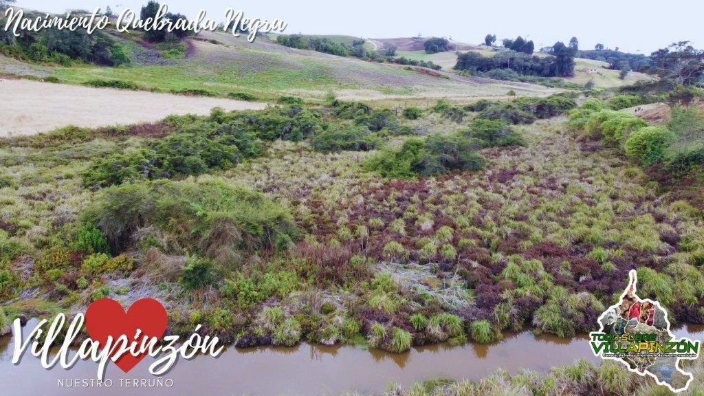 Foto: Nacimiento de quebrada negra vereda Guancuita alto - Villapinzón (Cundinamarca), Colombia