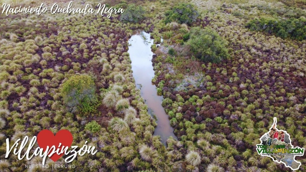 Foto: Nacimiento de quebrada negra vereda Guancuita alto - Villapinzón (Cundinamarca), Colombia