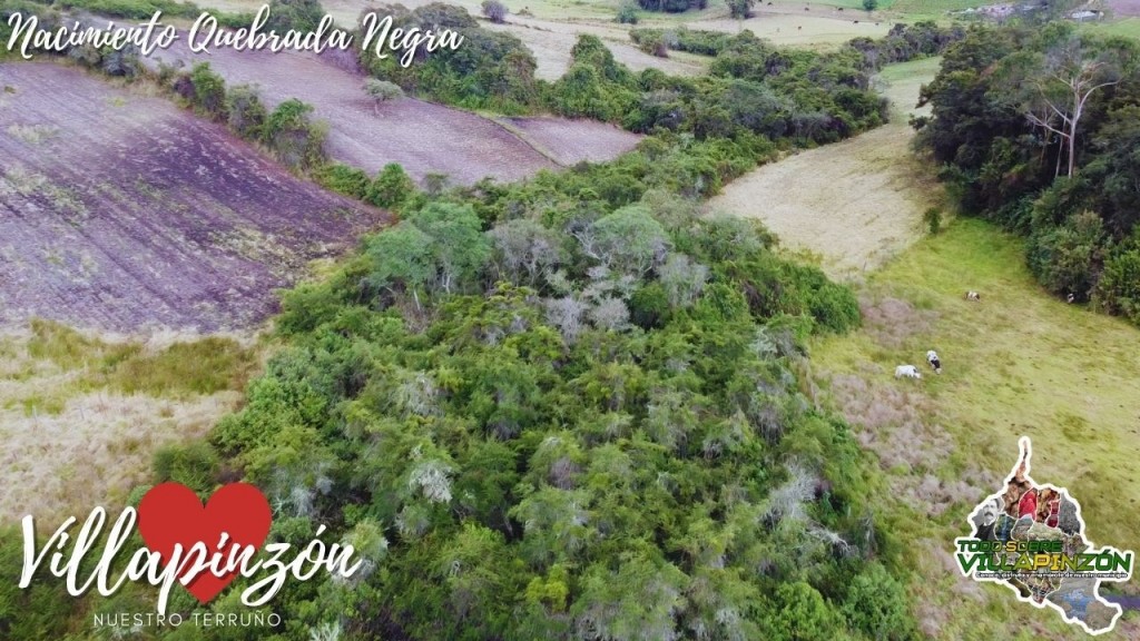 Foto: Nacimiento de quebrada negra vereda Guancuita alto - Villapinzón (Cundinamarca), Colombia