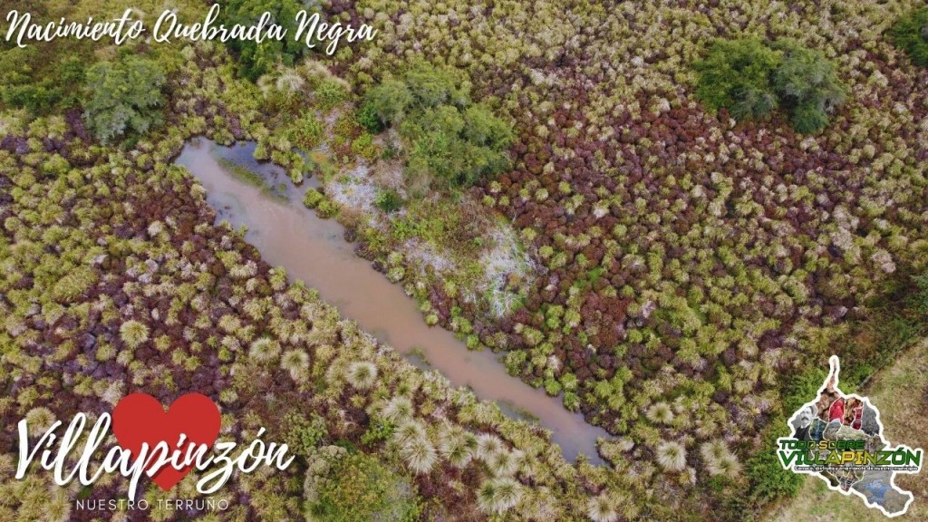 Foto: Nacimiento de quebrada negra vereda Guancuita alto - Villapinzón (Cundinamarca), Colombia