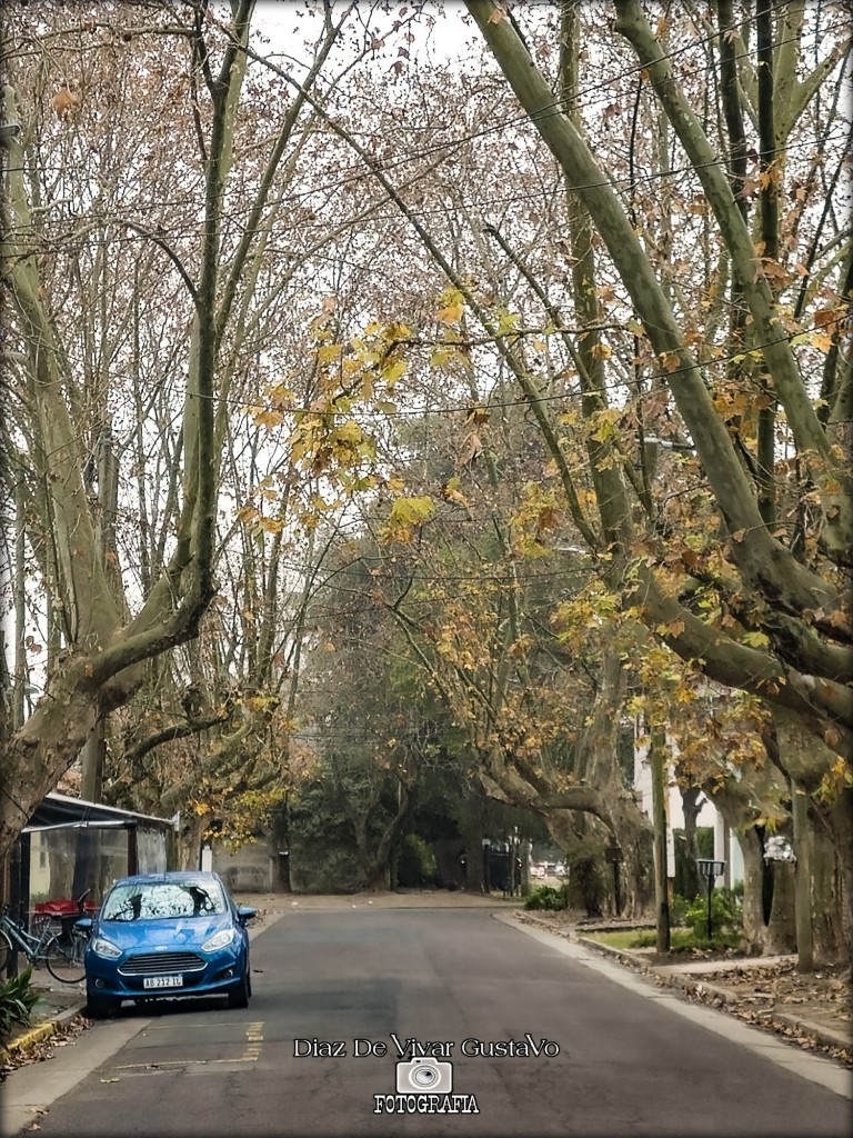 Foto: calles de Ranelagh - Ranelagh (Buenos Aires), Argentina