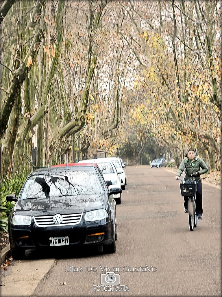 Foto: Ranelagh la ciudad jardín otoño 2024 - Ranelagh (Buenos Aires), Argentina