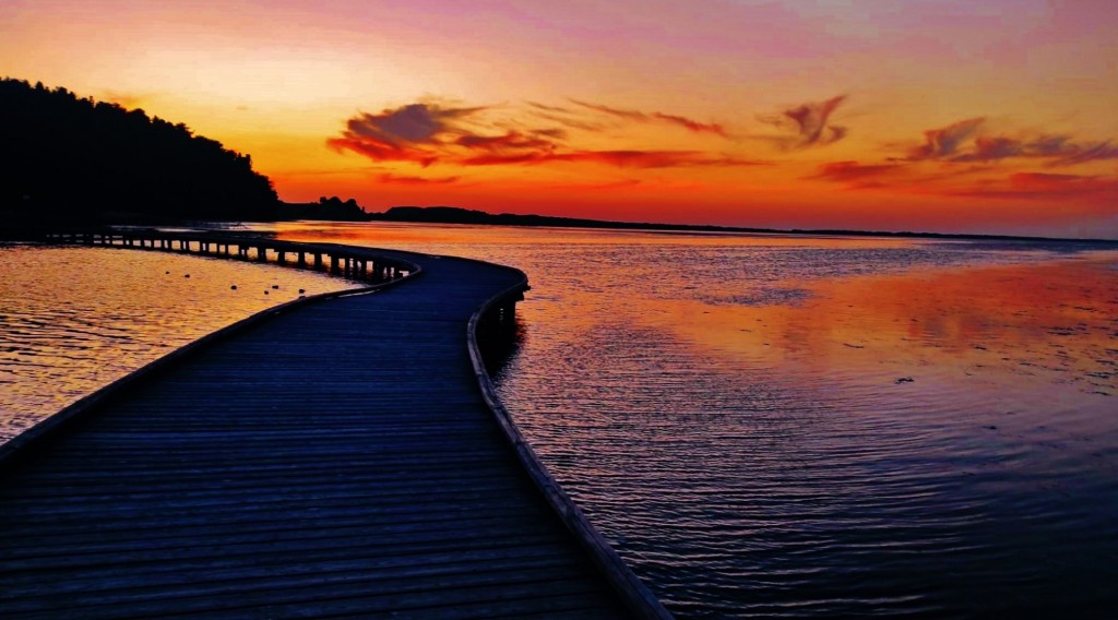 Foto: Ishulli i Zvërnecit - Zvërnec (Vlorë), Albania