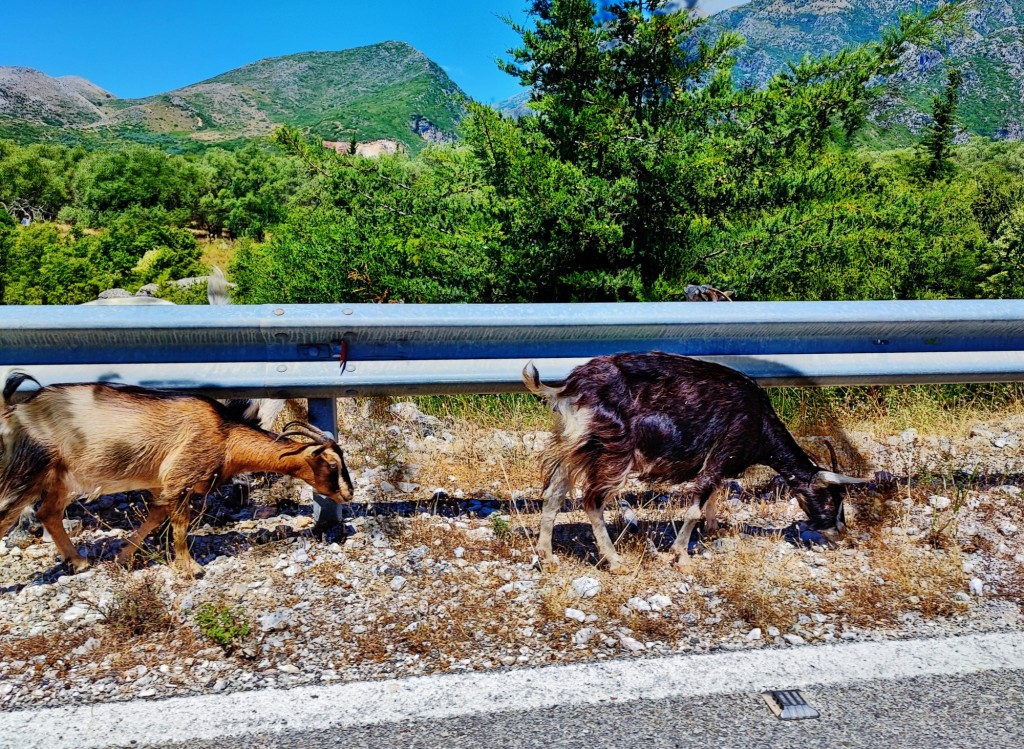 Foto: Vunoi - Himarë (Vlorë), Albania