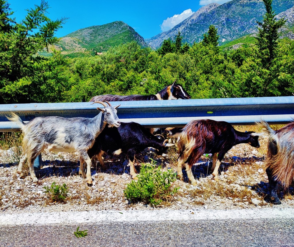 Foto: Vunoi - Himarë (Vlorë), Albania