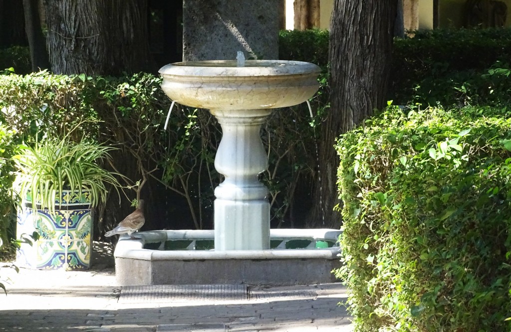 Foto: Fuente jardin Museo Benlliure - Valencia (València), España