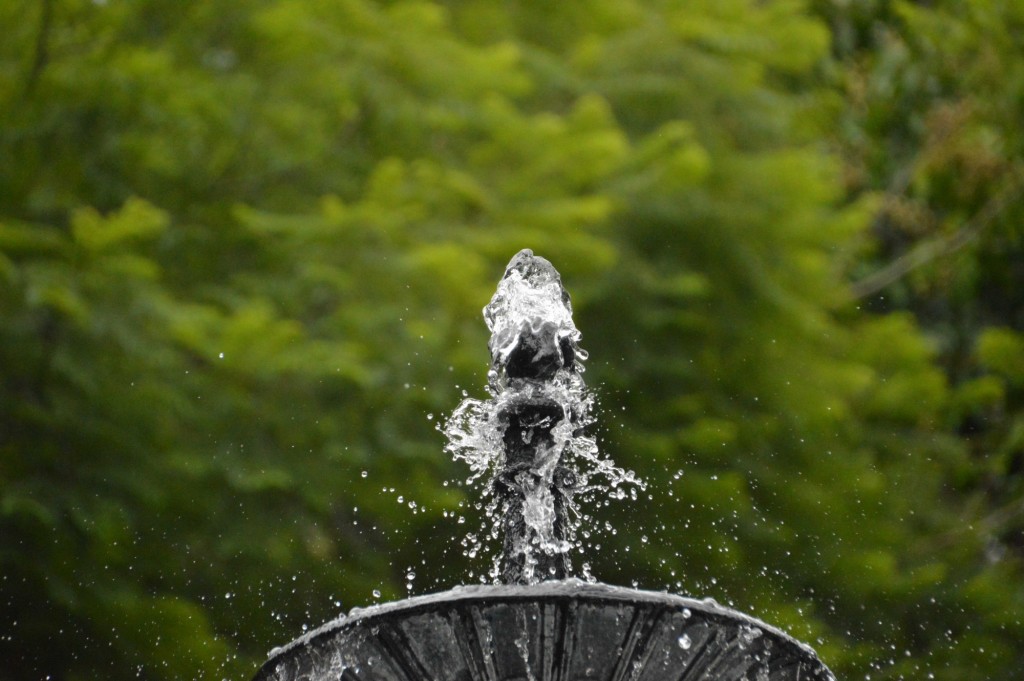 Foto: Fuente, Parque central - Alajuela, Costa Rica