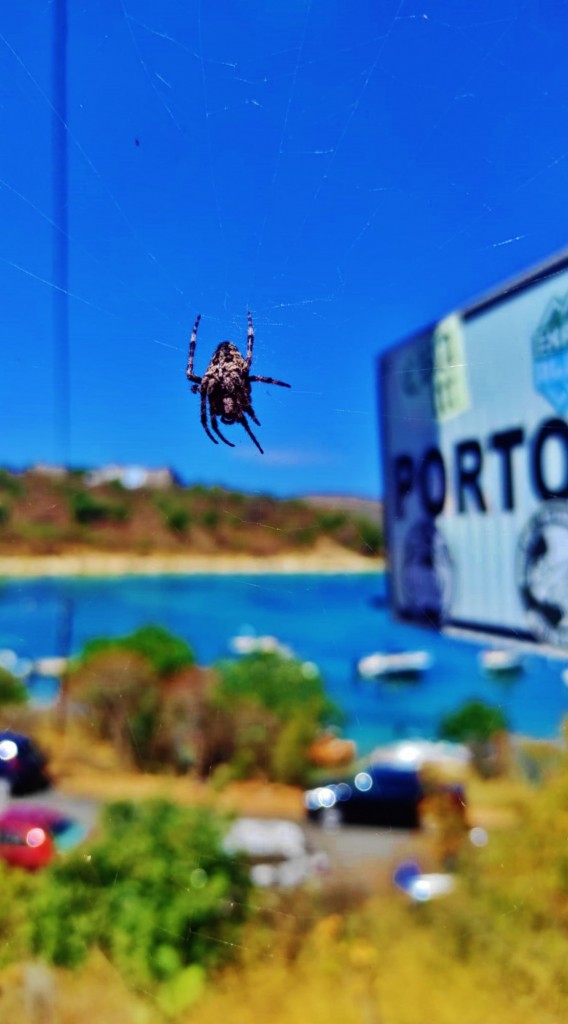 Foto: Plazhi i Porto Palermo - Himarë (Vlorë), Albania