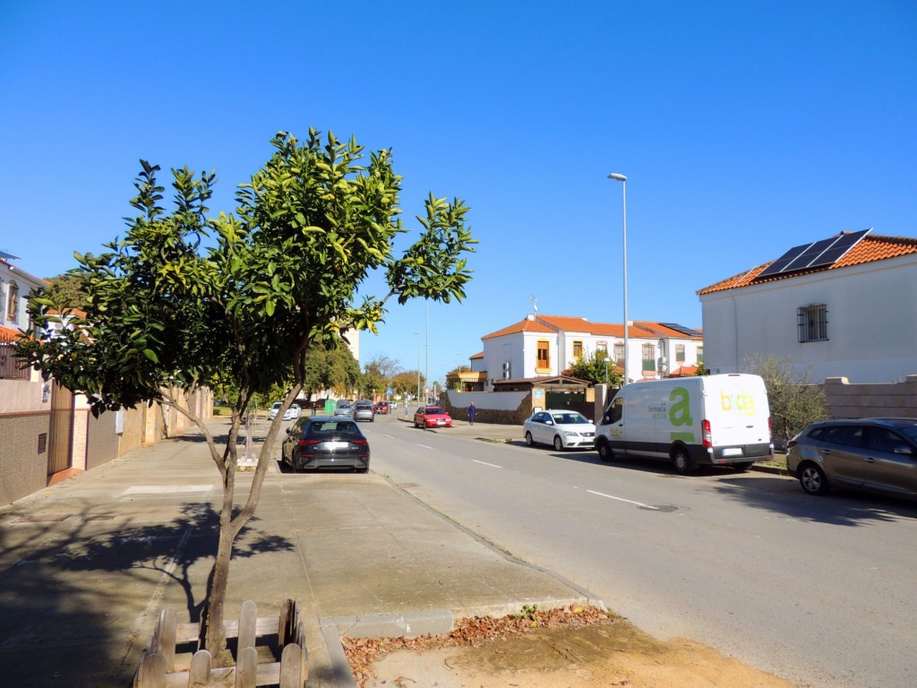 Foto: Calle Torre de Guzmán - Jerez de la Frontera (Cádiz), España