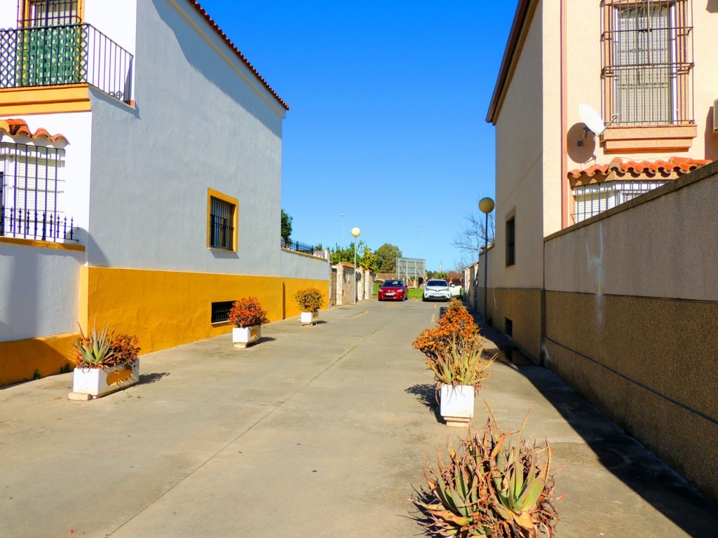 Foto: Calle Torre Gorda - Jerez de la Frontera (Cádiz), España