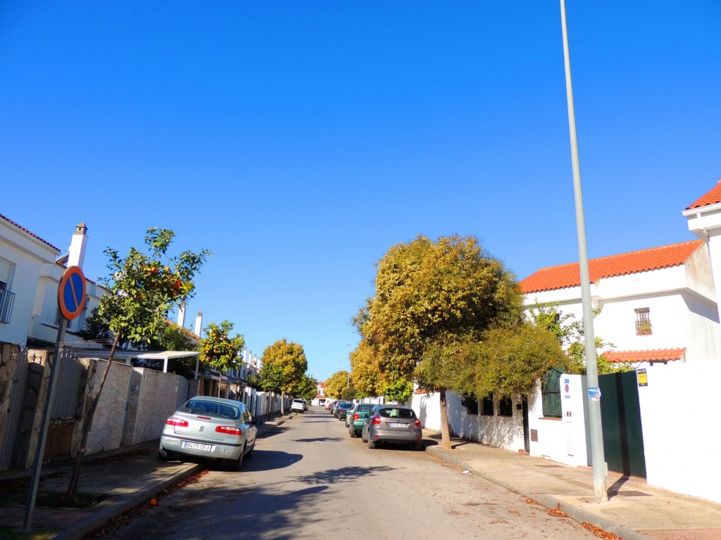 Foto: Calle Castillo Guzmán el Bueno - Jerez de la Frontera (Cádiz), España