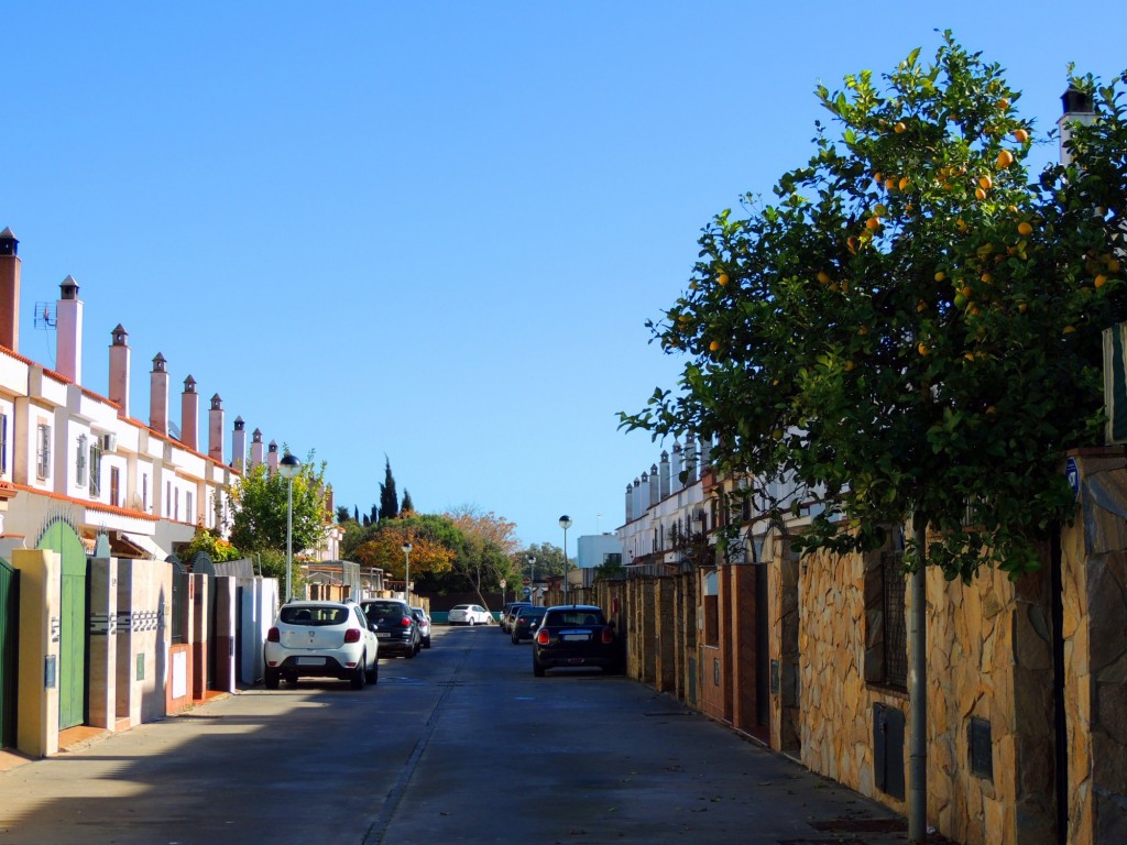 Foto: Calle Castillo Doña Blanca - Jerez de la Frontera (Cádiz), España