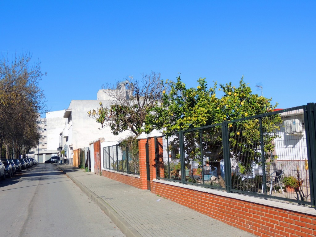 Foto: Calle Pintor Paco Toro - Jerez de la Frontera (Cádiz), España