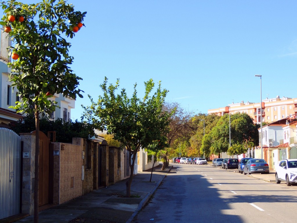 Foto: Calle Torrealhaquime - Jerez de la Frontera (Cádiz), España