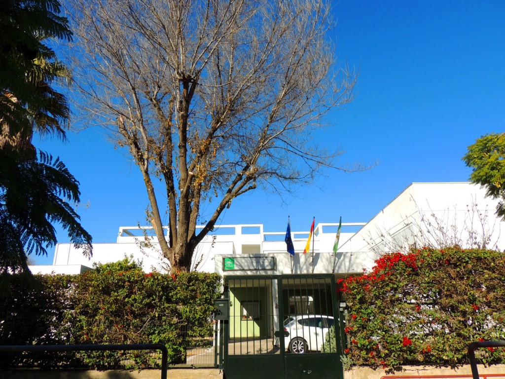 Foto: Instituto Almunia - Jerez de la Frontera (Cádiz), España