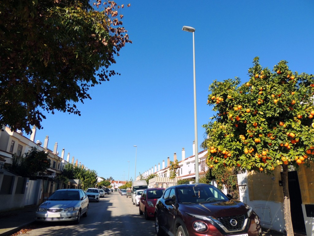 Foto: Calle Castillo de la Almadraba - Jerez de la Frontera (Cádiz), España