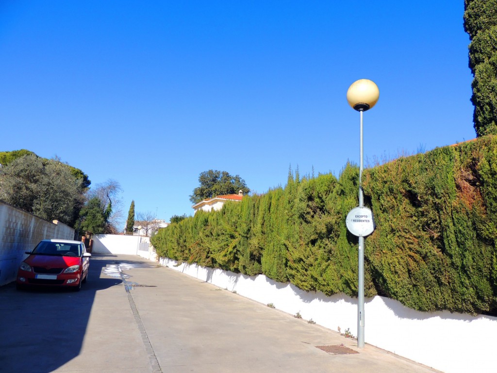 Foto: Calle Castillo de Borrequejo - Jerez de la Frontera (Cádiz), España