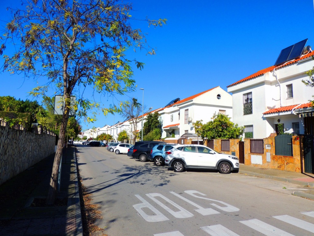 Foto: Calle Laguna - Jerez de la Frontera (Cádiz), España