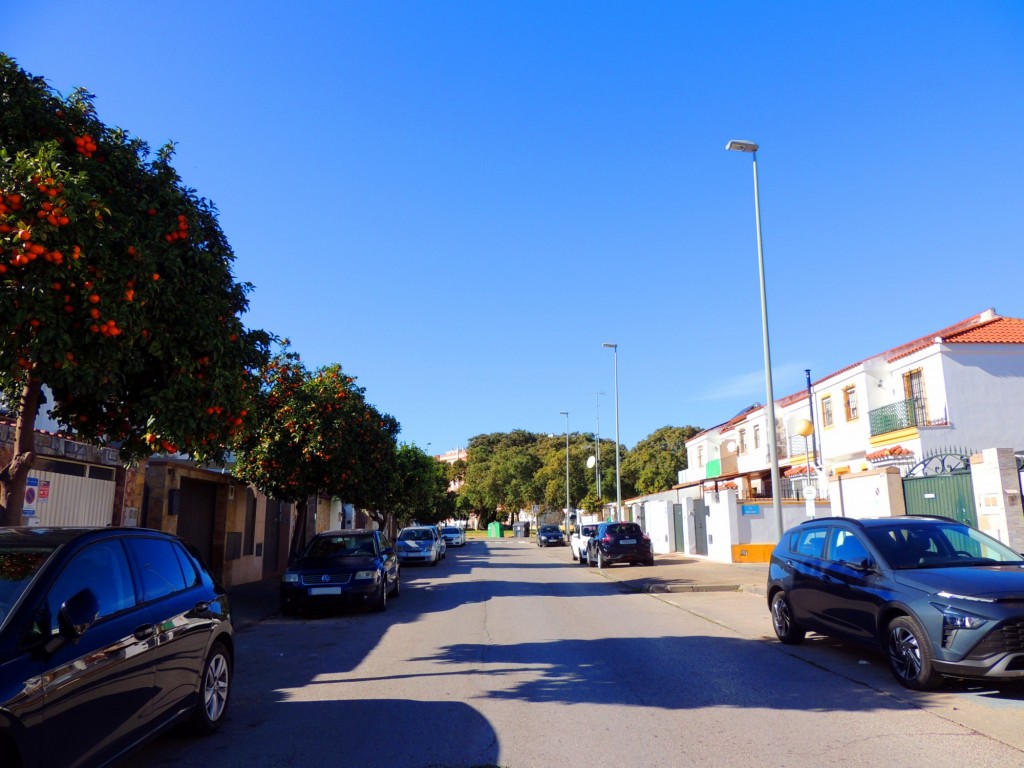 Foto: Calle Castillo de Medina - Jerez de la Frontera (Cádiz), España