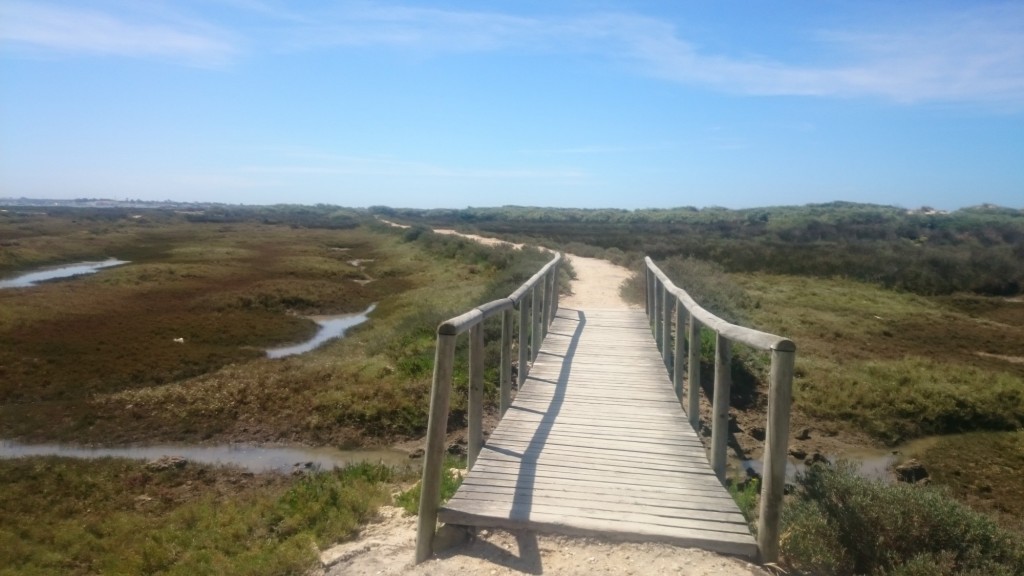 Foto de San Fernando (Cádiz), España