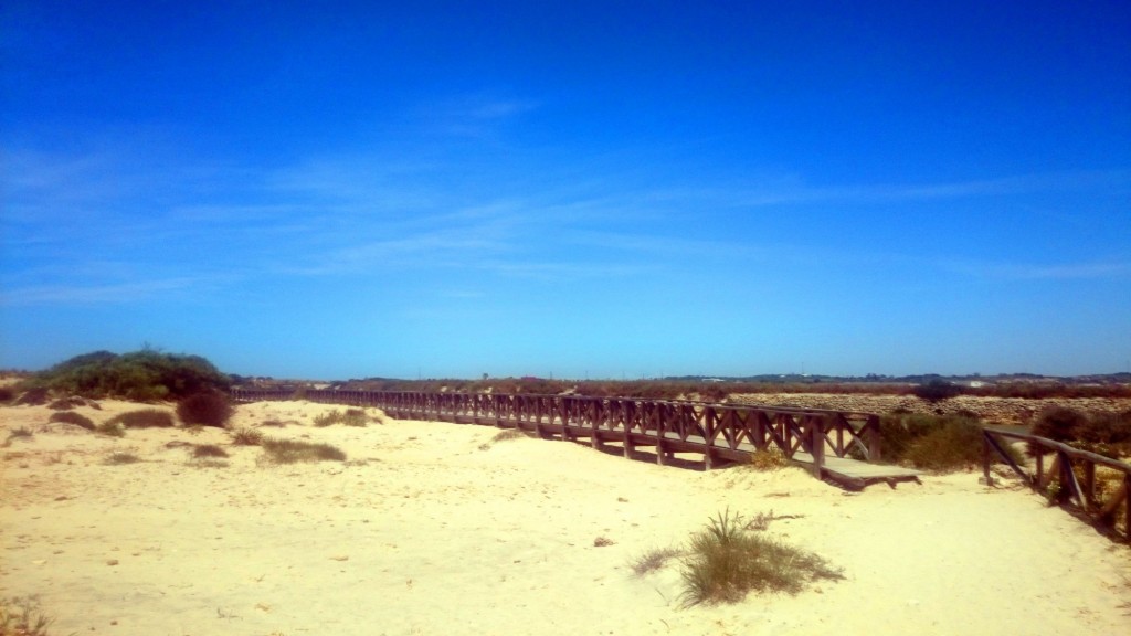 Foto de San Fernando (Cádiz), España