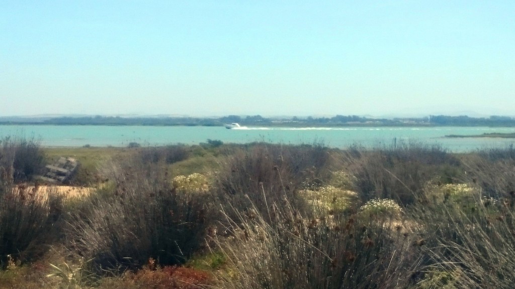 Foto de San Fernando (Cádiz), España