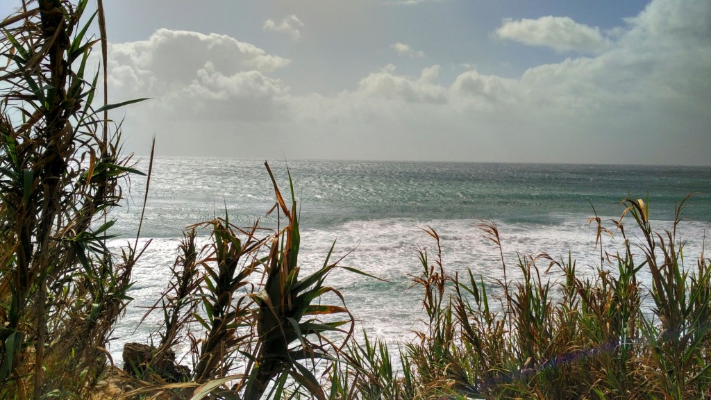 Foto de Barbate de Franco (Cádiz), España