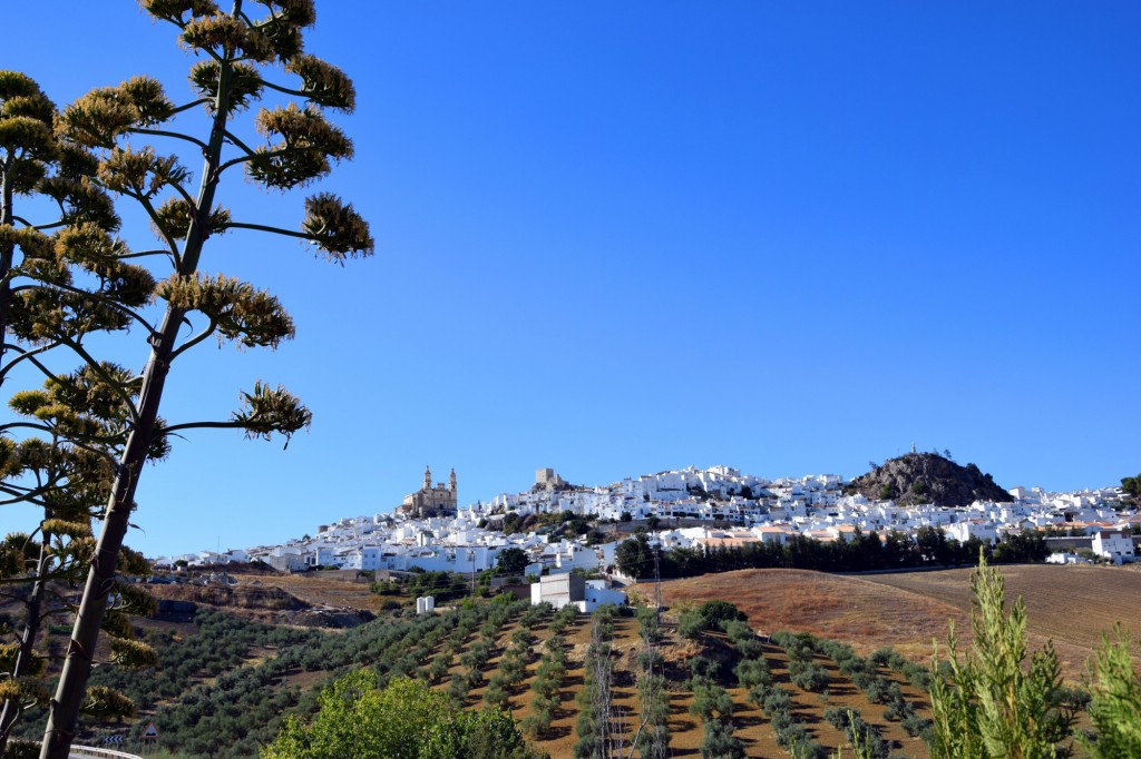 Foto de Olvera (Cádiz), España