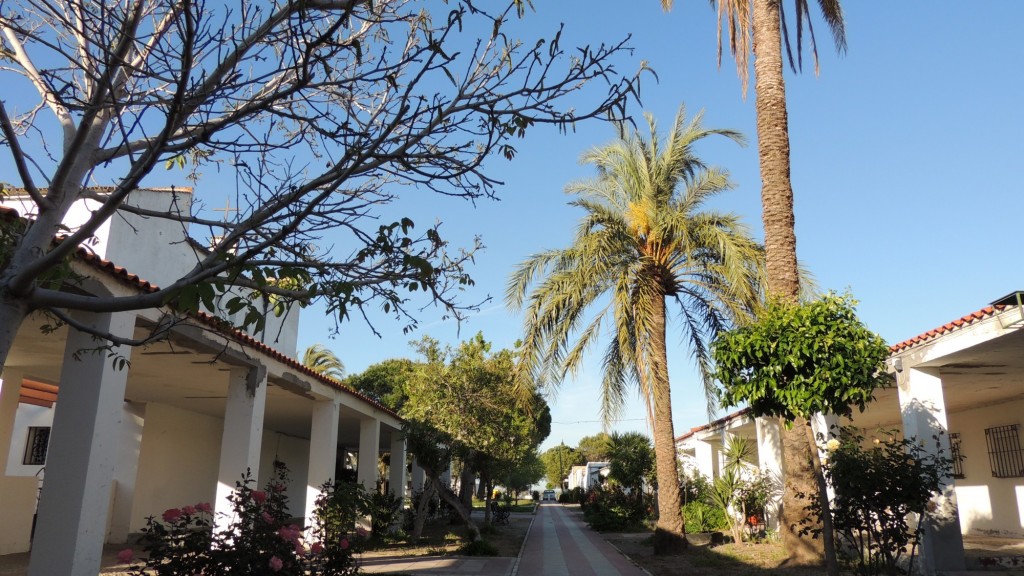 Foto: CALLE AMOR DE DIOS - Sacramento (Sevilla), España