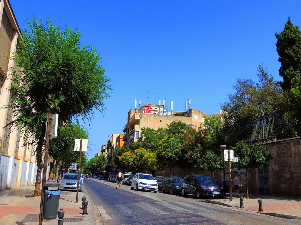 Foto: Calle Ancha de Capuchinos - Granada (Andalucía), España