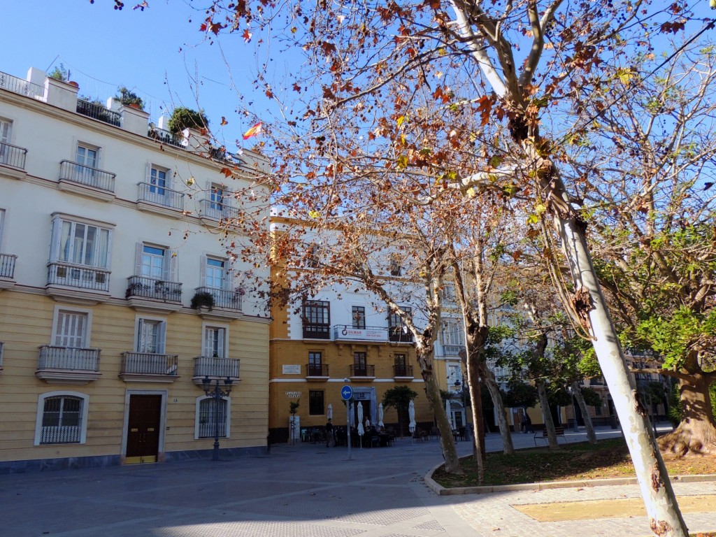 Foto: Antigua Casa de Salvador Viniegra y Valdés - Cádiz (Andalucía), España