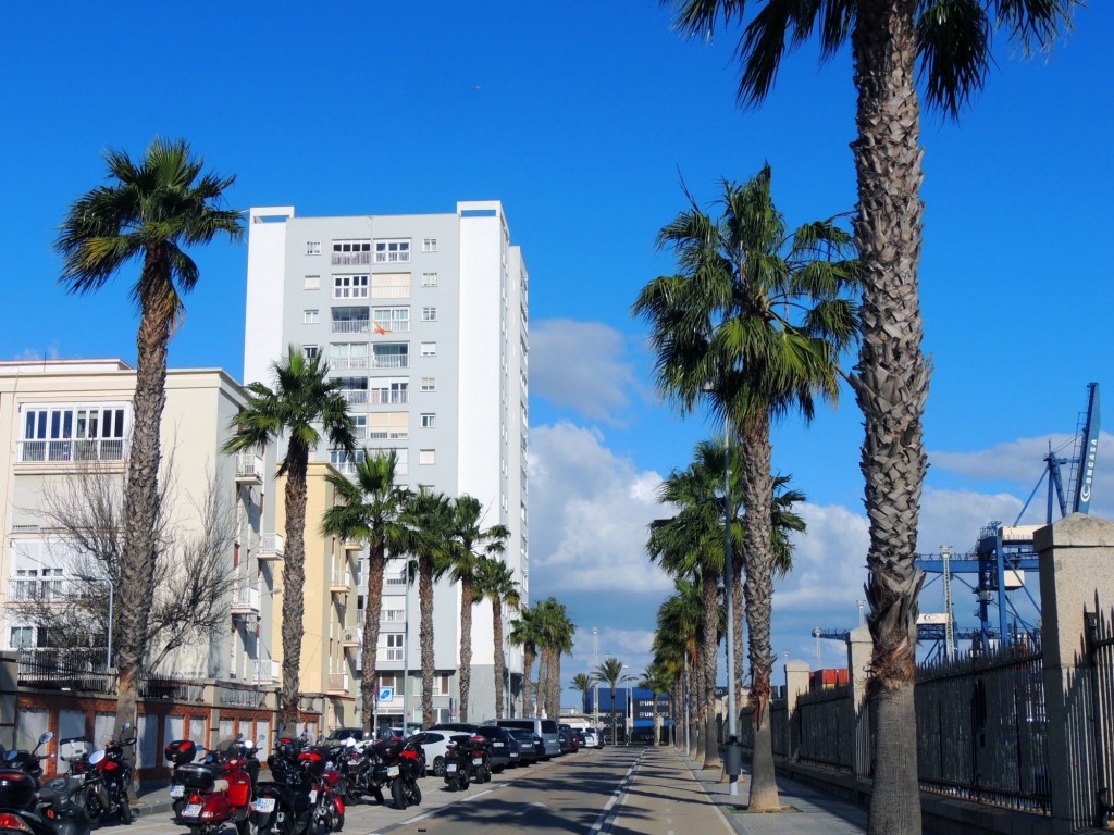 Foto: Avenida del Descubrimiento - Cádiz (Andalucía), España