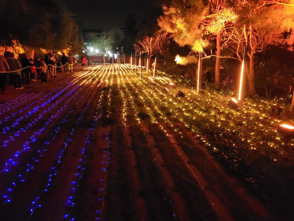 Foto: Luces de Sant Pau - Barcelona (Cataluña), España