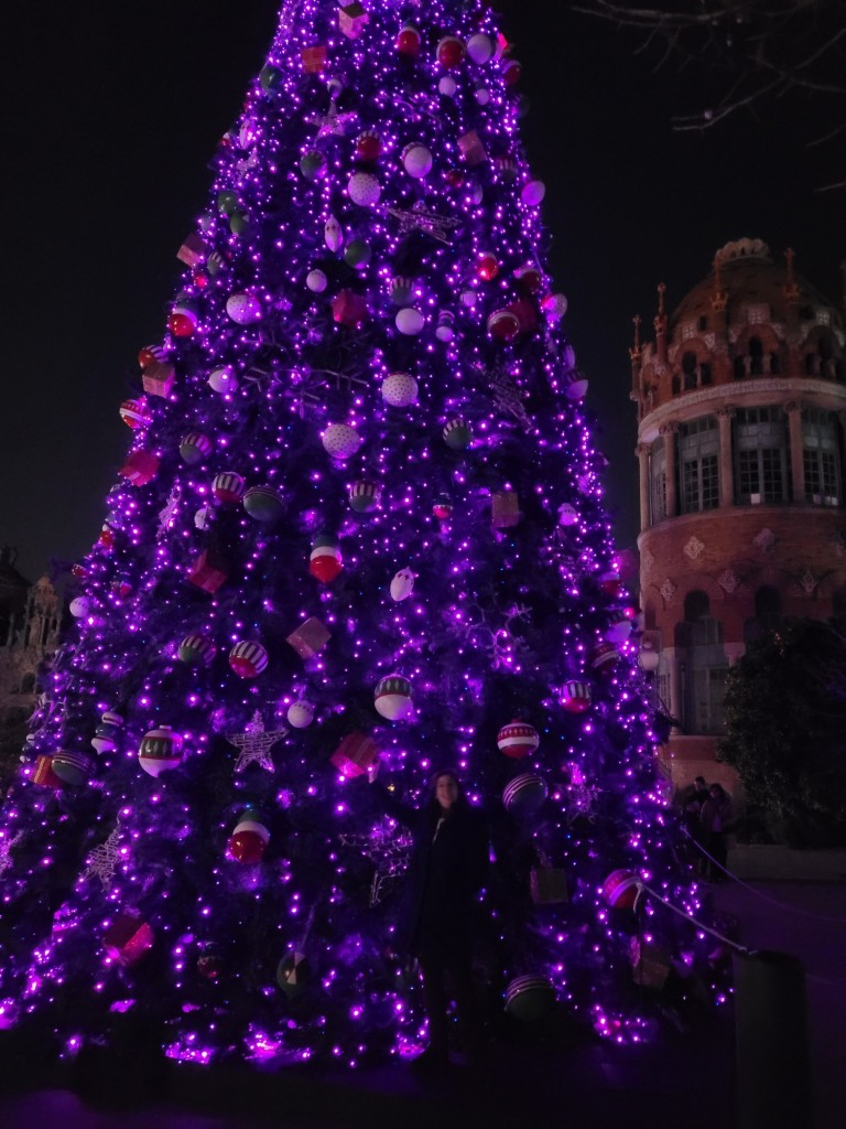 Foto: Luces de Sant Pau - Barcelona (Cataluña), España